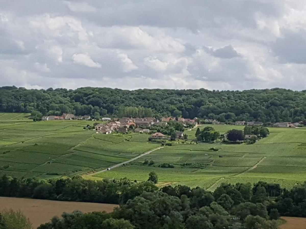 Le Domaine De L Etang Le Merger Oeuilly Εξωτερικό φωτογραφία
